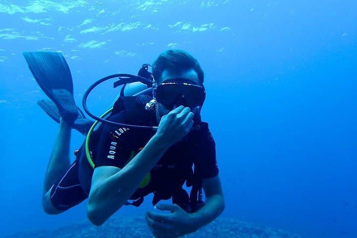 Scuba Diving Mount Lavinia: City-Edge Reefs & PADI Courses Near Colombo photo 4