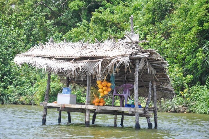Coastal Ride to Galle from Bentota — Madu River Boat Safari, Galle Fort & Turtle Hatchery photo 2