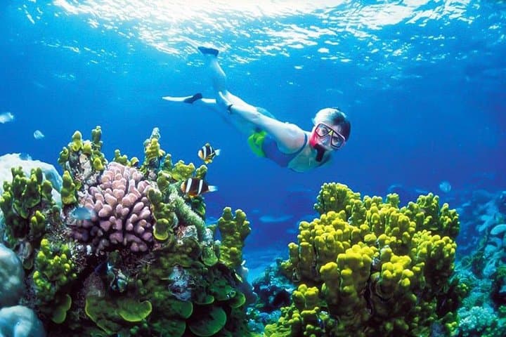 Coral Island Snorkel from Trincomalee: Clear Shallow-Water Marine Life in 2 Hours photo 2