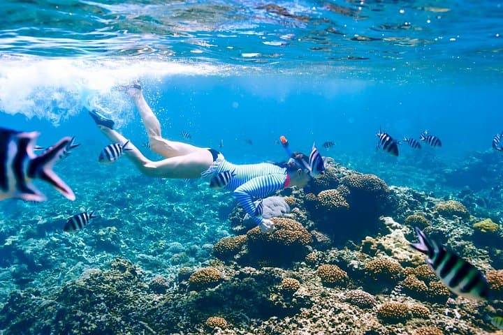Coral Island Snorkel from Trincomalee: Clear Shallow-Water Marine Life in 2 Hours photo 1