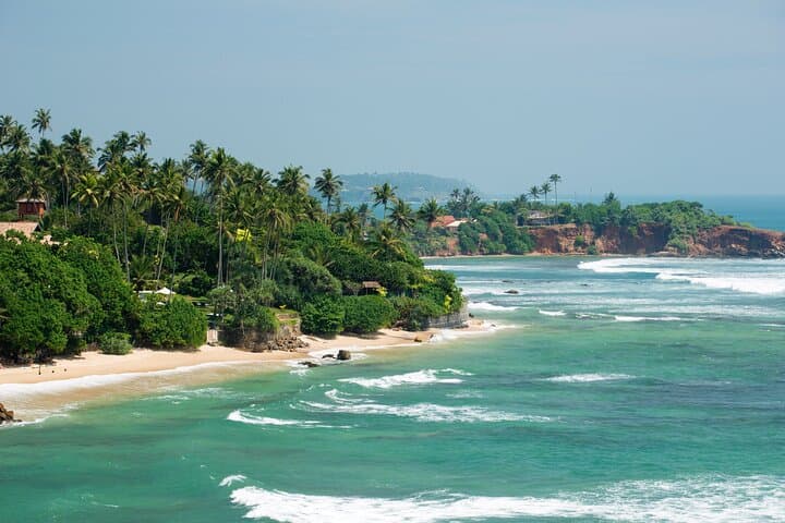 Southern Coast Highlights Tour from Bentota: Galle Fort, Tea Estates & Stilt Fishermen photo 2