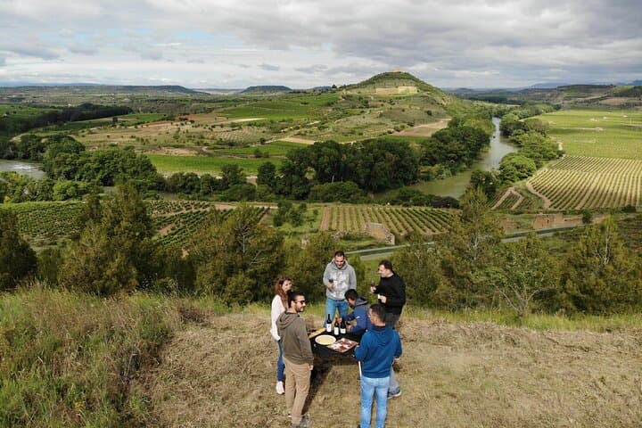 Private Vineyards Tour San Vicente de la Sonsierra — La Rioja Family Winery Experience