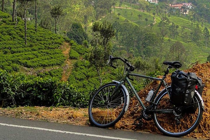 Cycling to Lipton's Seat: Haputale Tea-Estate Ride in Sri Lanka photo 3