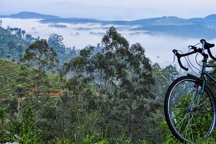 Cycling to Lipton's Seat: Haputale Tea-Estate Ride in Sri Lanka photo 5