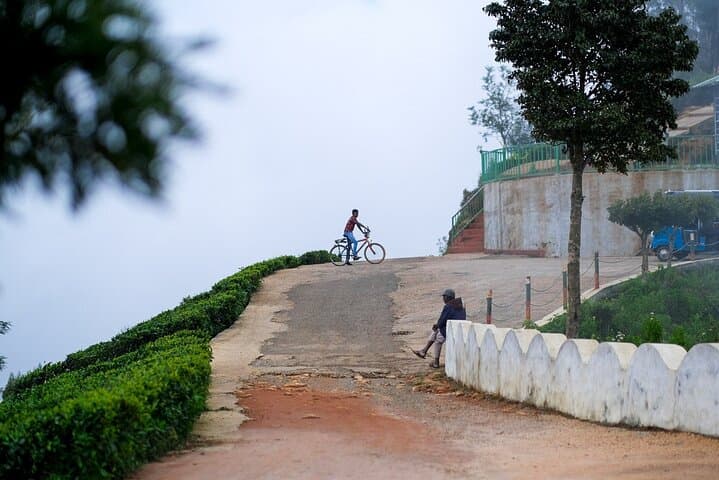 Cycling to Lipton's Seat: Haputale Tea-Estate Ride in Sri Lanka