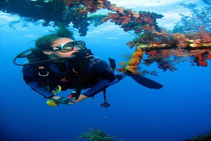 Petra to Aqaba Private Full-Day Red Sea Beach & Snorkel Tour photo 3