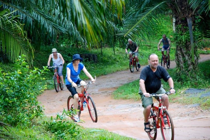 Cycling Through Elpitiya's Palm and Rubber Estates — 4-Hour Waterfall Ride photo 5