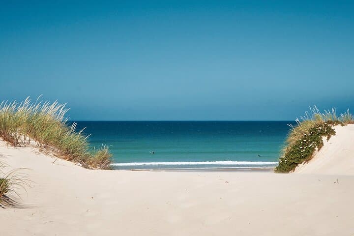 Learn to Surf in Peniche & Baleal — 10-Lesson Atlantic Surf Course
