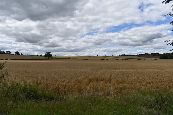 Private Cotswolds Day Tour from London — Burford, Bampton & Cogges Farm photo 5