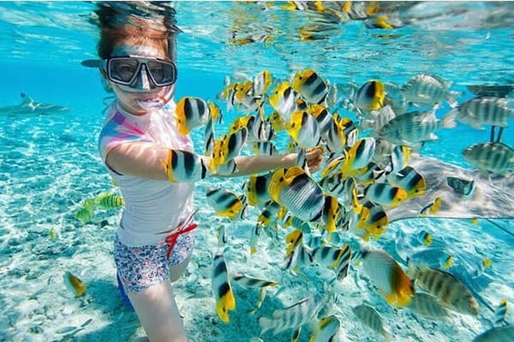 Blue Lagoon Snorkel & Kanto Lampo Waterfall: Full-Day Bali Adventure