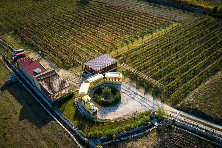 Konavle Valley Wine Tour from Dubrovnik: Train Ride, Water Mill & Wine Tastings photo 2