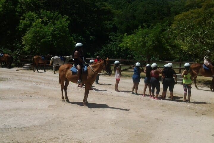 Blue Hole & Ocean Horseback Ride from Montego Bay — Jump, Swim and Ride in Ocho Rios photo 6