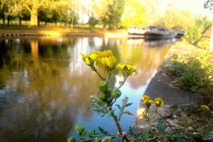 Oxford River Cruise and Thames Walk to Iffley Village photo 6