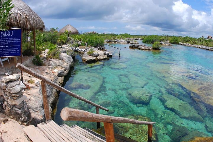 Yalku Lagoon and Open Cenote: Snorkel Akumal's Sacred Waters