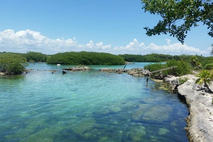 Yalku Lagoon and Open Cenote: Snorkel Akumal's Sacred Waters photo 4