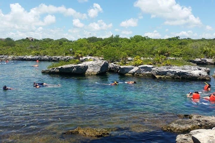 Yalku Lagoon and Open Cenote: Snorkel Akumal's Sacred Waters photo 5