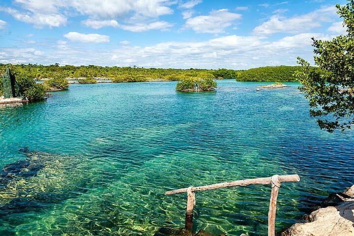 Yalku Lagoon & Cenote Swim: Snorkel Akumal's Marine Garden with Guide