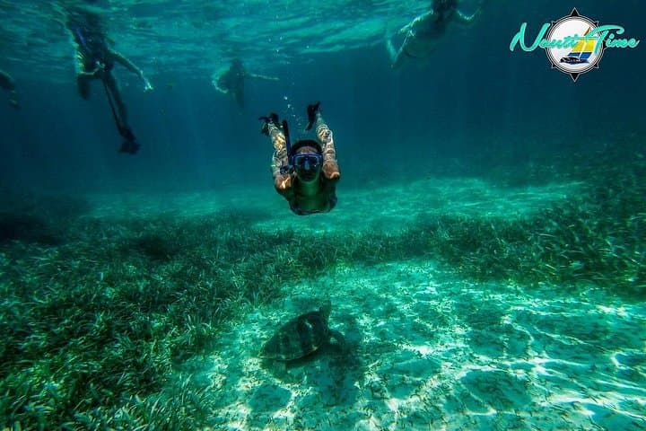 Full-Day Snorkeling at Hol Chan & Shark Ray Alley from Caye Caulker photo 4