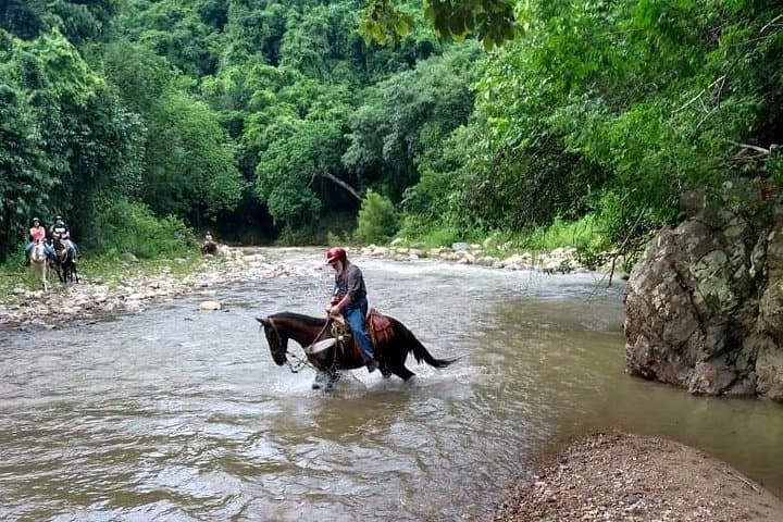 Sierra Madre Combo: Horseback Riding and ATV Adventure from Puerto Vallarta photo 3