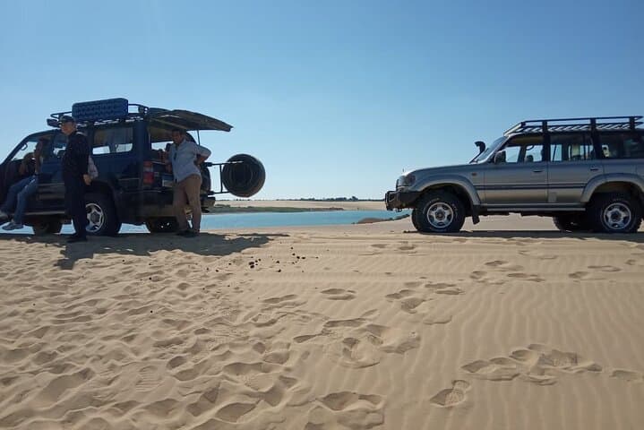 Two-Day Whale Valley & Desert Camping with Giza Pyramids Visit photo 6