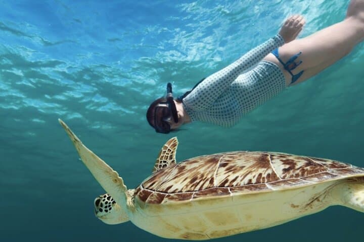 Swim-with-Turtles-and-Explore-Tulum-Ruins-Akumal-Snorkel-Cenote-Day-Tour