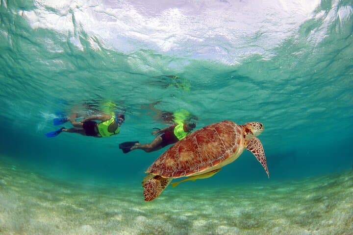 Swim-with-Turtles-and-Explore-Tulum-Ruins-Akumal-Snorkel-Cenote-Day-Tour photo 5