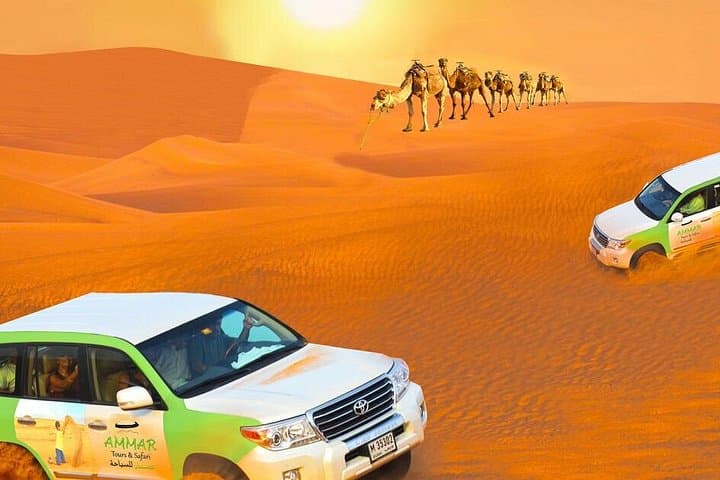 Morning Desert Safari in Dubai — Quad Biking, Dune Bashing & Camel Ride photo 4