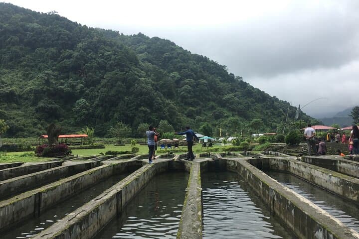 Bhujung River Trout Farm Tour & Fresh Dinner — Day Escape from Pokhara photo 3