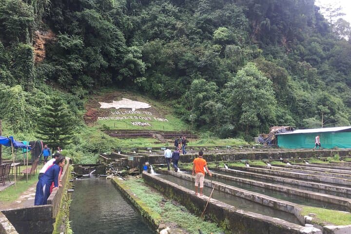 Bhujung River Trout Farm Tour & Fresh Dinner — Day Escape from Pokhara photo 6