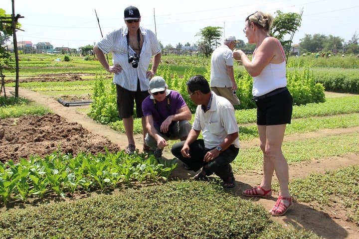 hoi-an-farm-to-lantern-bike-tour-tra-que-herbs-lantern-making