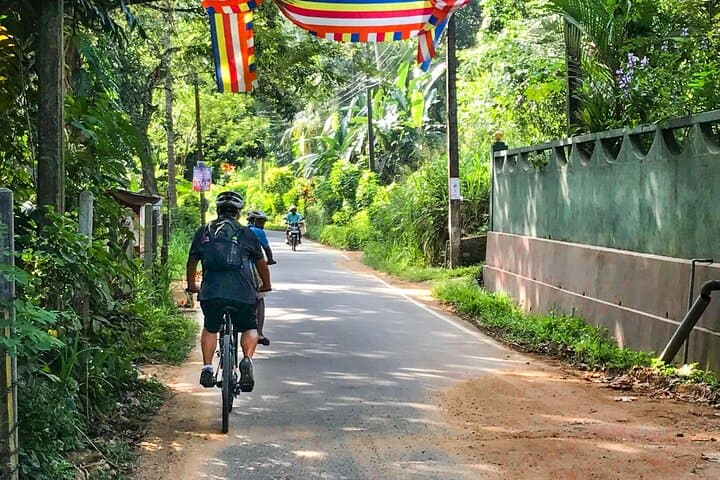Cycling Through Elpitiya's Palm and Rubber Estates — 4-Hour Waterfall Ride photo 4