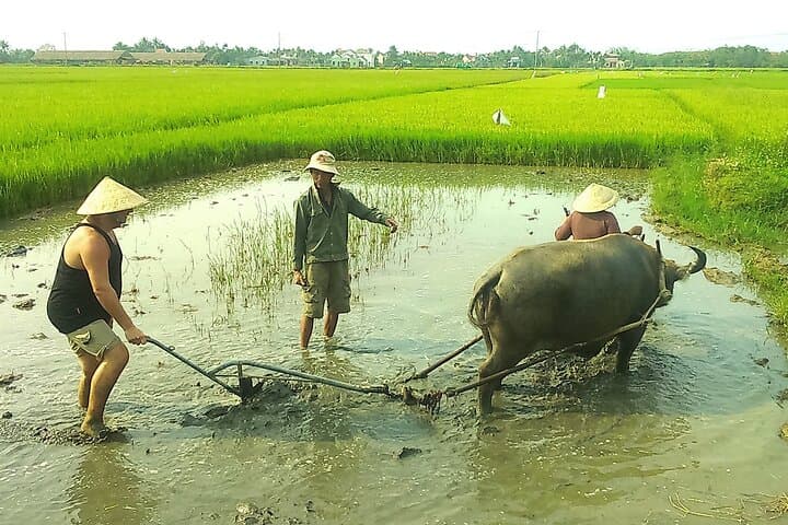 Full-Day Hoi An Lantern-Making & Tra Que Herb with Cam Thanh Basket-Boat Experience photo 3