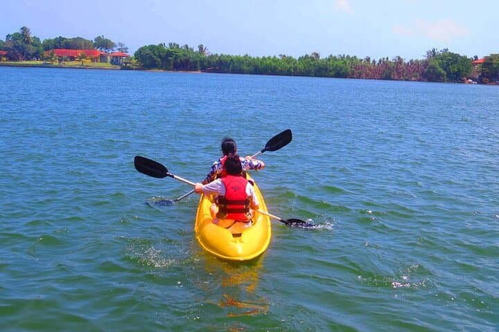 Kayaking Bolgoda Lake: Paddle the Southern Lake Mangroves photo 2