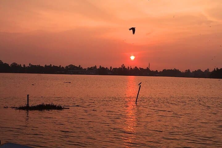 Kayaking Bolgoda Lake: Paddle the Southern Lake Mangroves photo 5