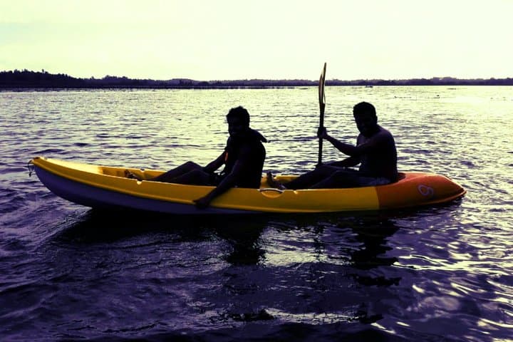 Kayaking Bolgoda Lake: Paddle the Southern Lake Mangroves photo 6