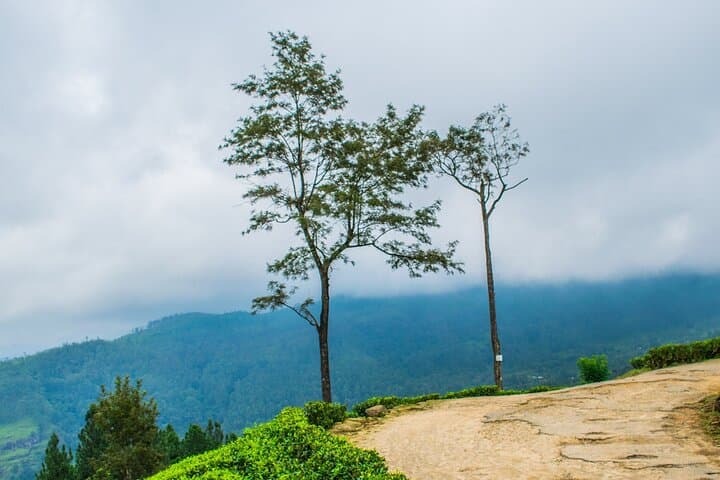 Camping in Ramboda: Overnight Adventure at Ramboda Falls & Chariot Path photo 4