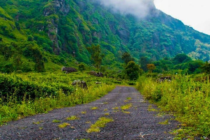 Camping in Ramboda: Overnight Adventure at Ramboda Falls & Chariot Path photo 6