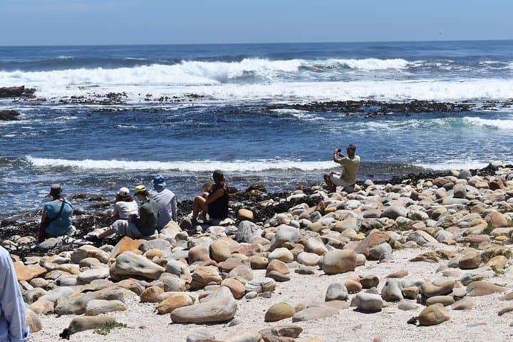 Peninsula Tour Cape Town: Full-Day Classic with Local Changemakers photo 3