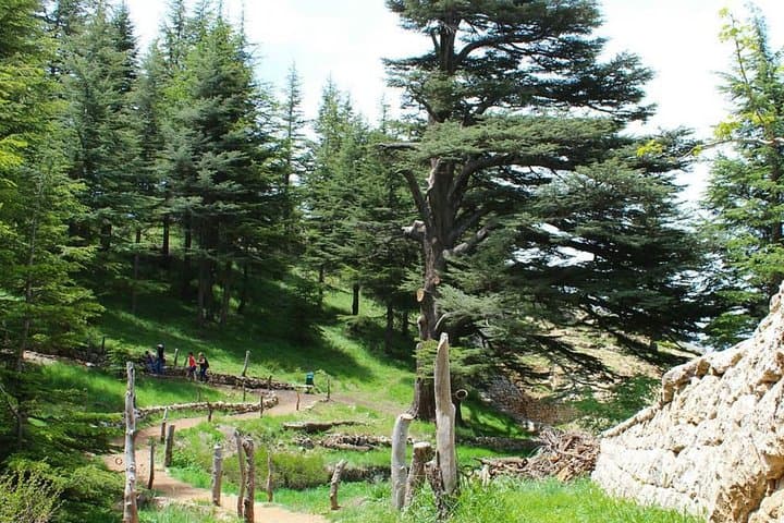 Full-Day Qadisha Valley & Cedars of God Tour from Beirut photo 3