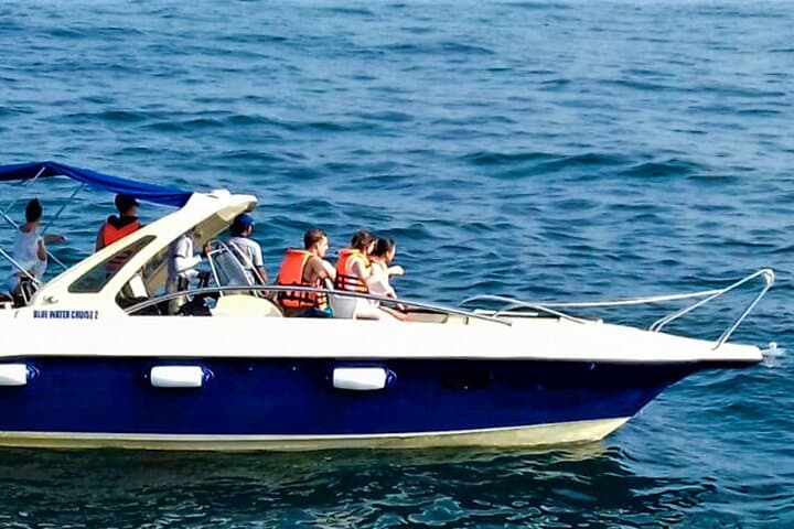 Bentota Shared-Boat Whale Watching Tour — Blue, Sperm & Fin Whales