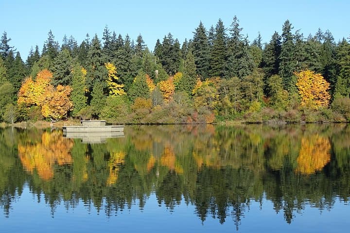 Cycle the Stanley Park Seawall: Self-Guided Audio Bike Tour in Vancouver photo 4