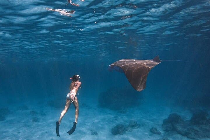 Best of Nusa Penida: 2-Day Snorkel & Cliff Highlights from Bali photo 5