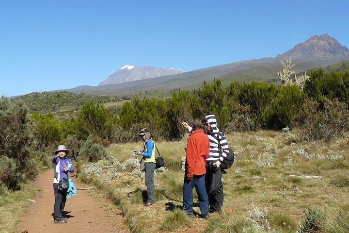 Day Trek on Mount Kilimanjaro’s Marangu Route: Mandara Hut & Shira Plateau Views photo 4