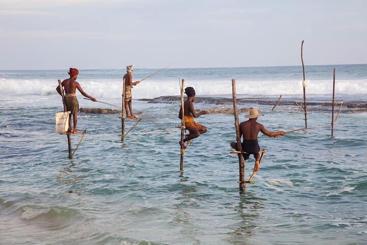 Coastal Ride to Galle: Madu River Boat Safari, Turtle Hatchery & Galle Fort Day Trip photo 3