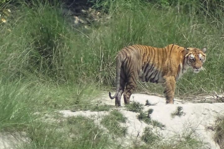 5-Day Bardia National Park Safari and Palpa Cultural Stay