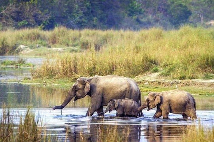 5-Day Bardia National Park Safari and Palpa Cultural Stay photo 2