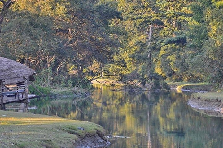 5-Day Bardia National Park Safari and Palpa Cultural Stay photo 3