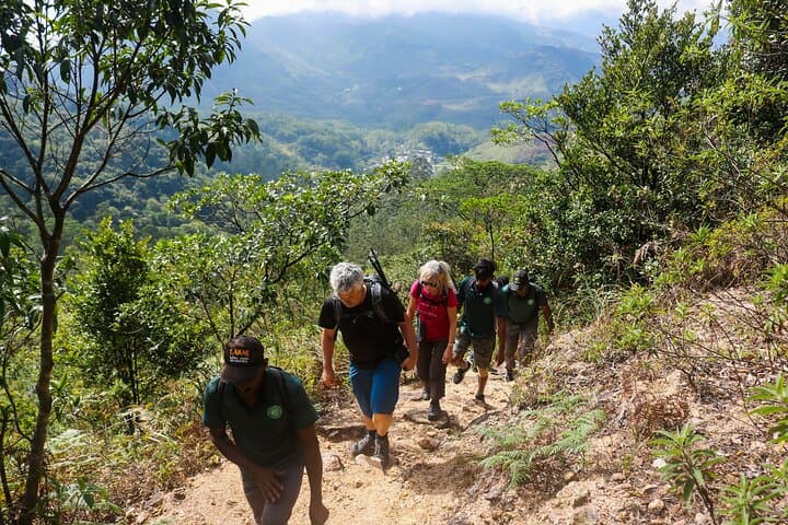 Knuckles Mountain Hike from Kandy: Waterfalls, Ridge Views & Indigenous Forests photo 3