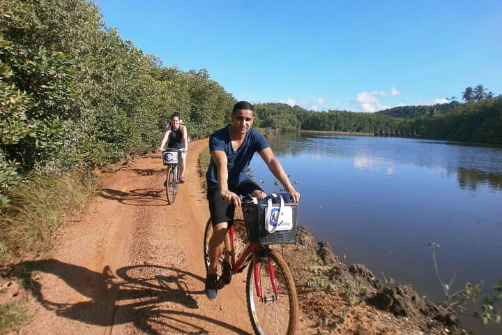 Cycling the Bentota Countryside: Paddy Fields, Cinnamon Gardens & Temple Visits photo 3