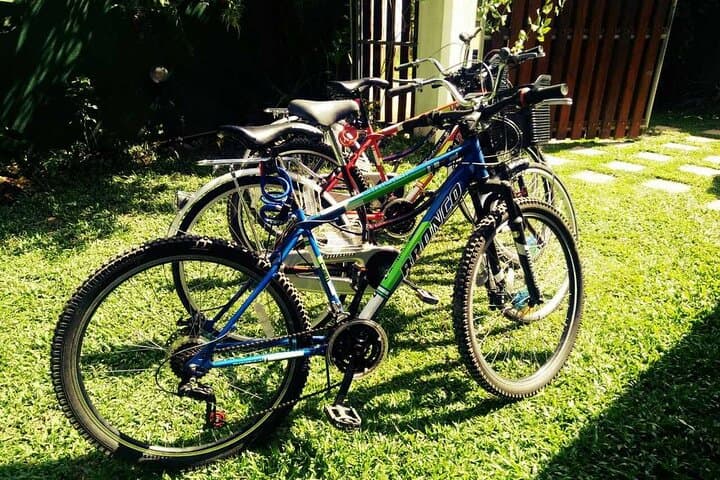 Cycling the Bentota Countryside: Paddy Fields, Cinnamon Gardens & Temple Visits photo 4